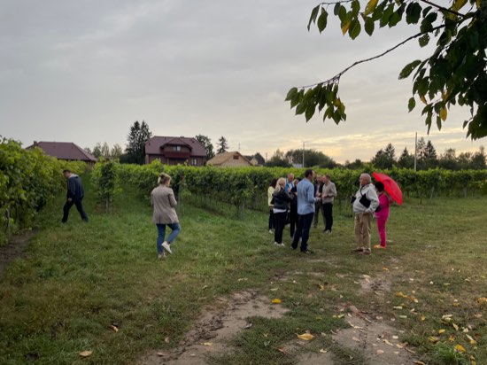 Zwiedzanie winnicy o zachodzie słońca podczas wizyty grupy