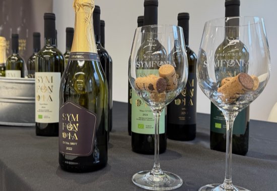 Korki win Eco Symfonia w kieliszkach na stoisku podczas festiwalu